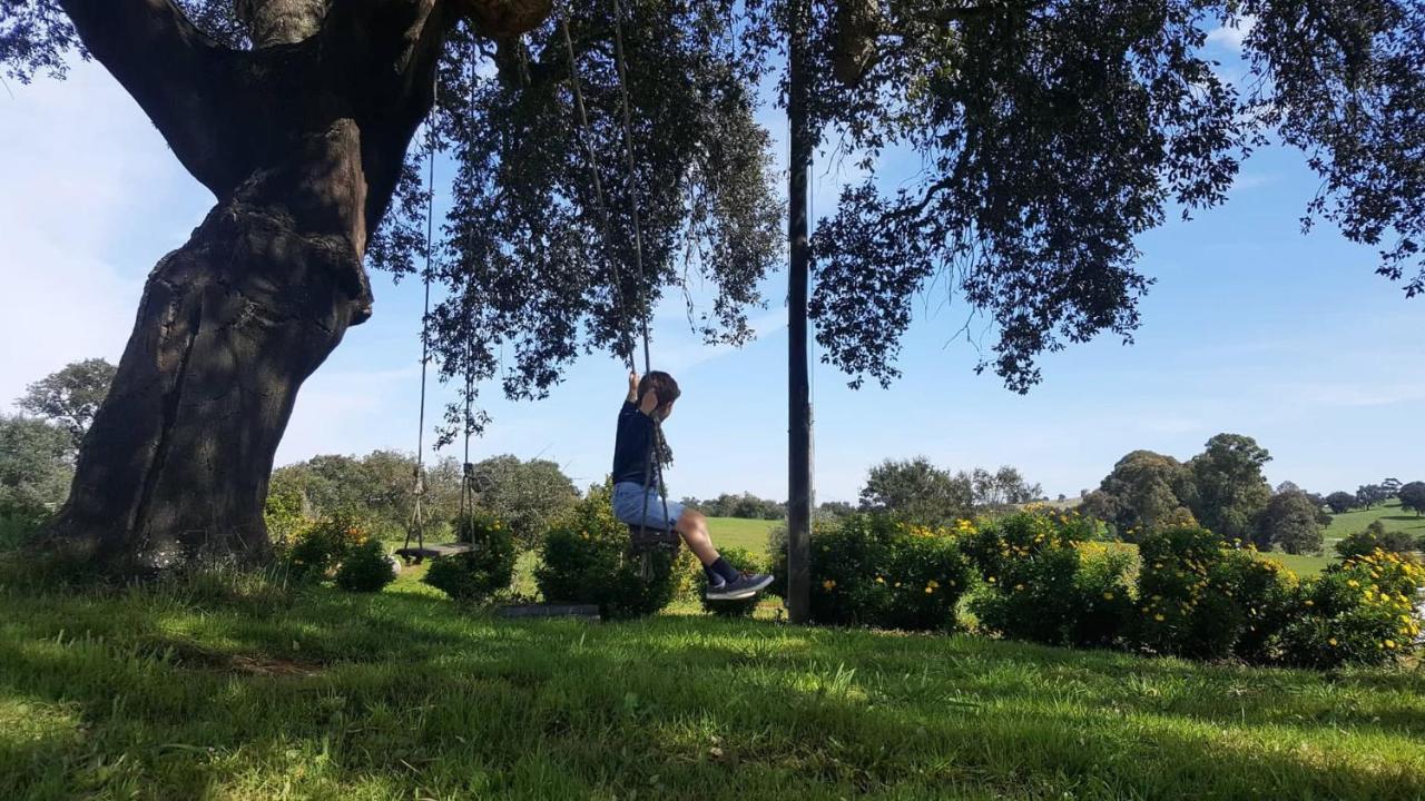 Herdade Reguenguinho Cercal do Alentejo Bagian luar foto